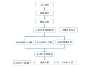 微生物重测序