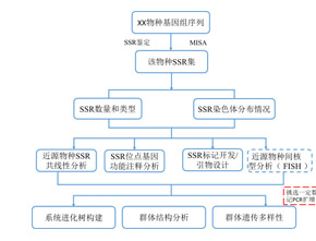 全基因组SSR鉴定