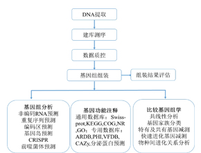 真菌基因组de novo测序