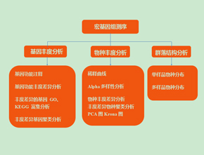 宏基因组测序