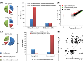 ChIP-seq