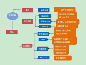 重测序