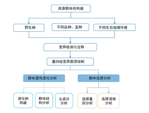群体进化