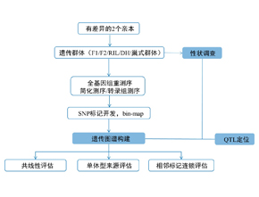 遗传图谱