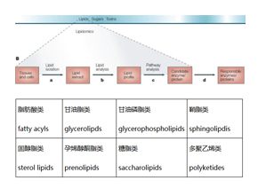 脂质组学