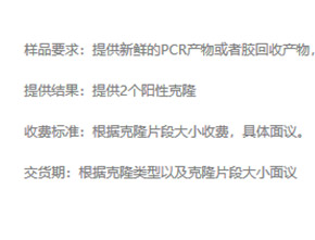 载体构建