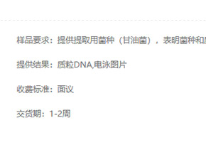 质粒DNA提取