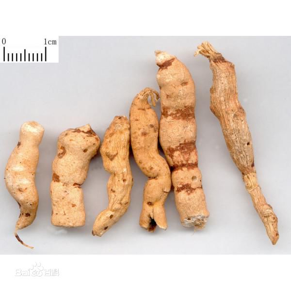 集思慧远客户发表《醋灸处理甘遂对大鼠肠道微生物群的调节及解毒作用》