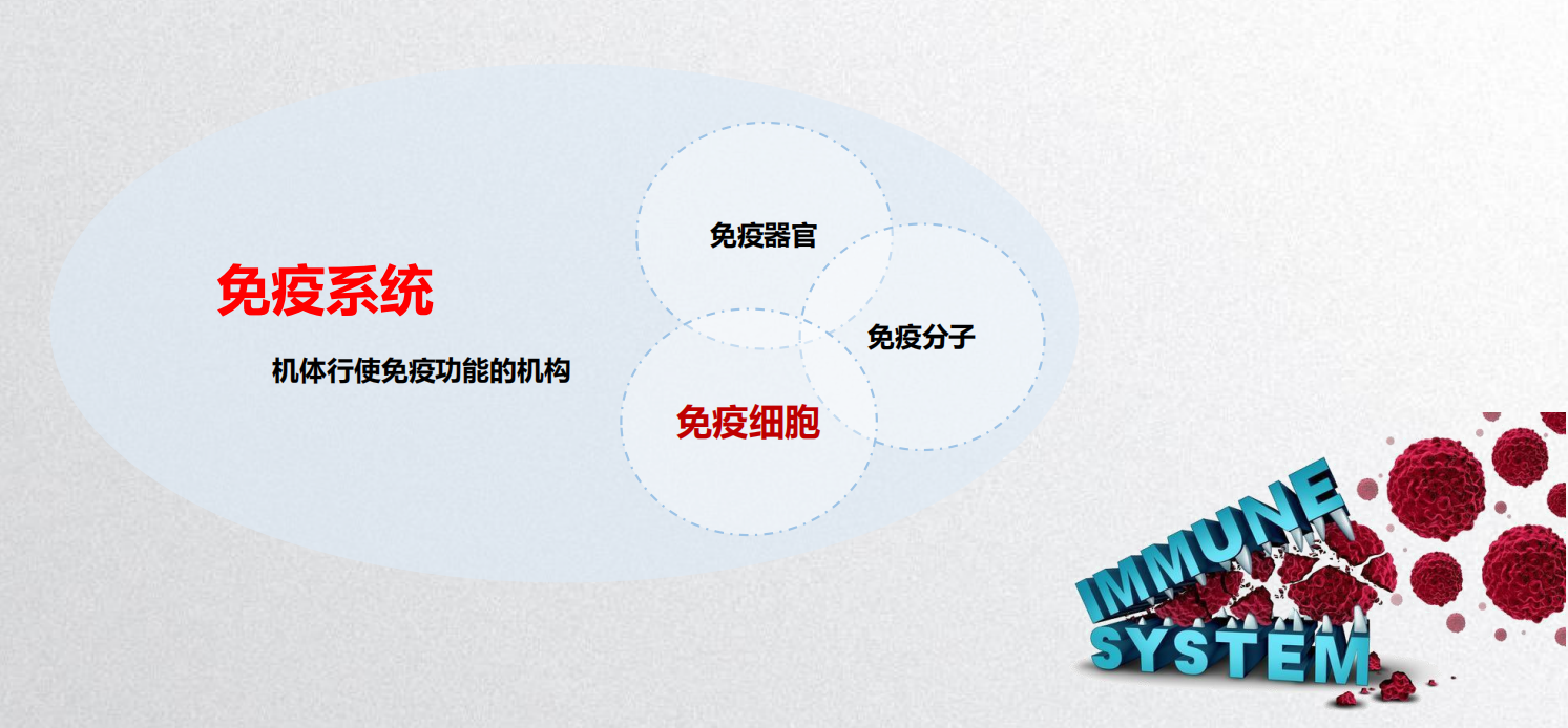 免疫组学测序