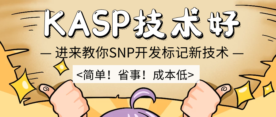 高通量分子标记分型-KASP