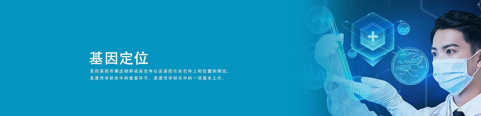 基因定位