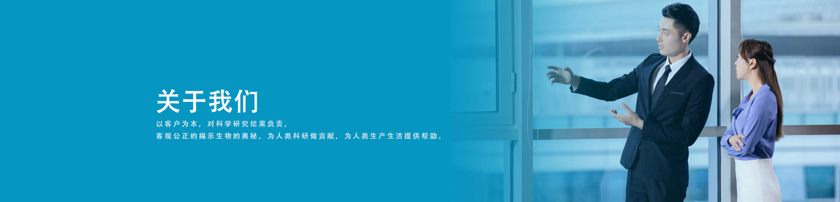 关于我们