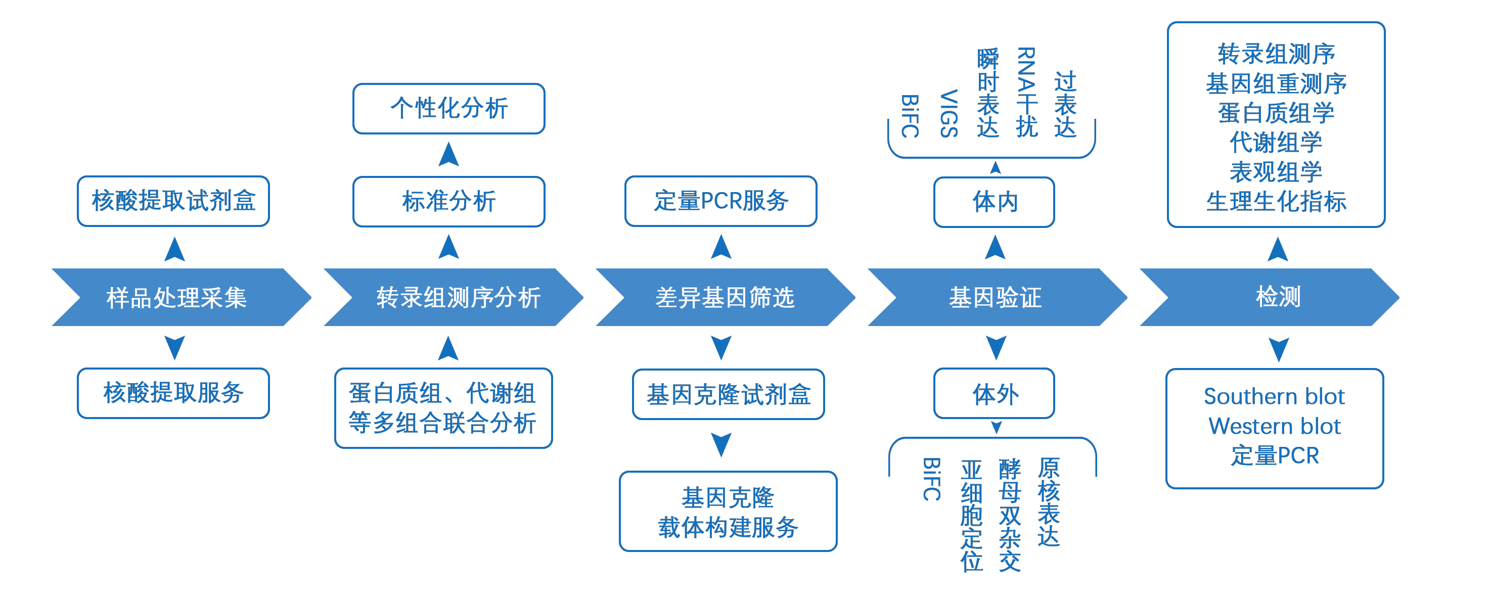 转录组到差异基因功能验证一条龙服务