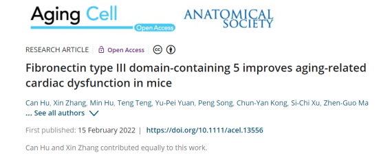 Aging Cell|纤维连接蛋白III型结构域5可改善小鼠与衰老相关的心功能不全