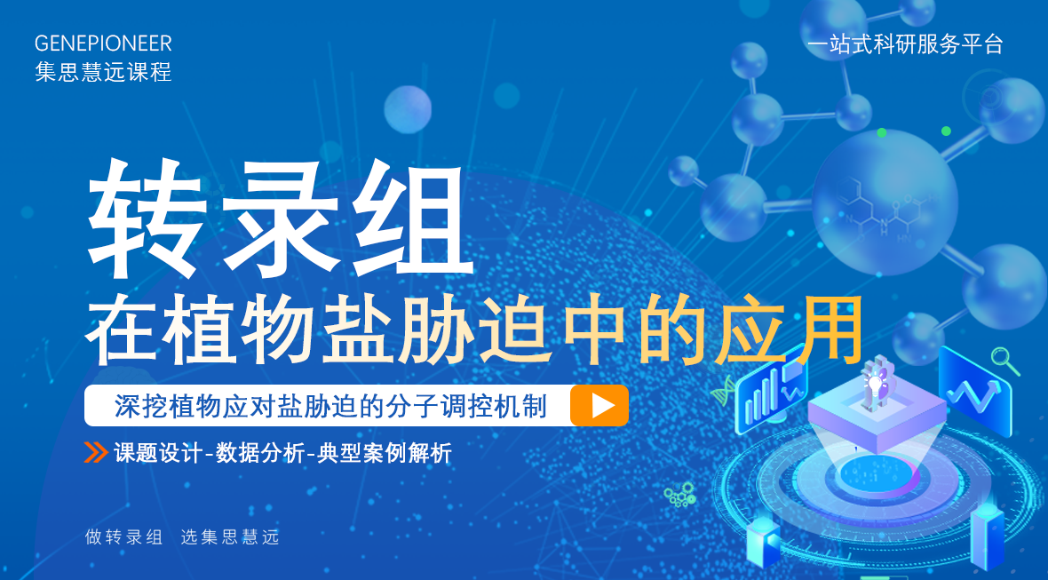 转录组在植物盐胁迫中的应用