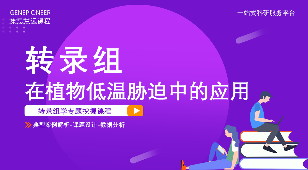 集思慧远丨转录组在植物低温胁迫中的应用
