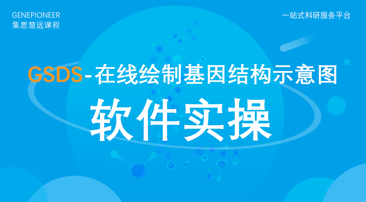 集思慧远丨GSDS：在线绘制基因结构示意图
