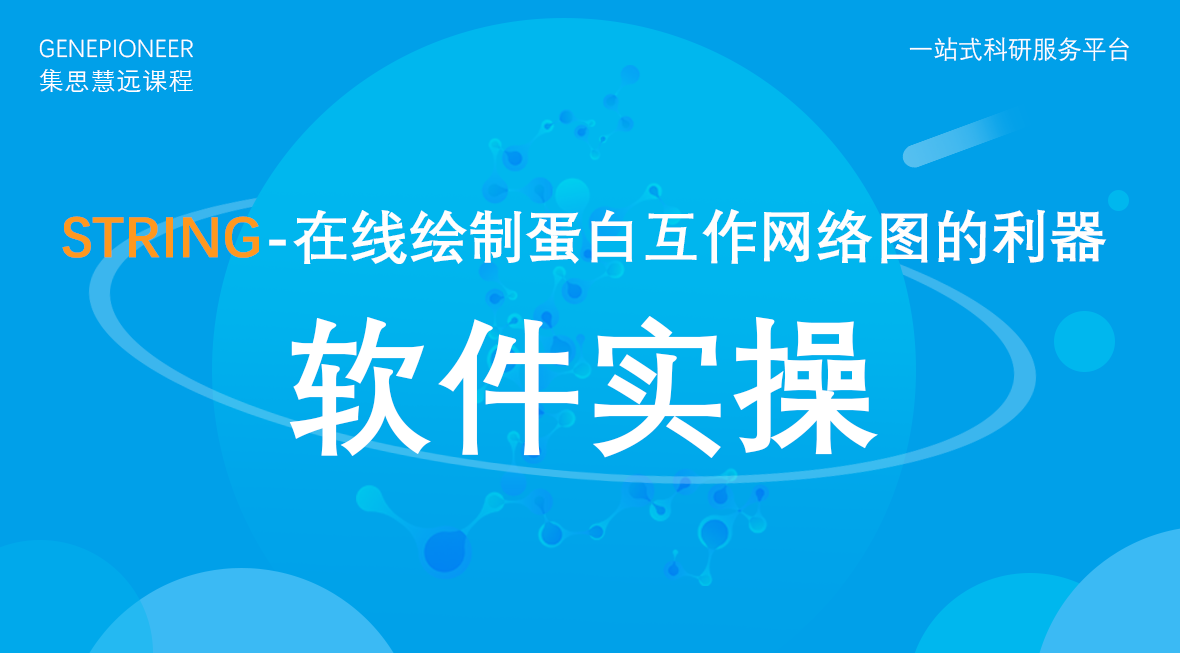 集思慧远丨STRING：在线绘制蛋白互作网络图的利器