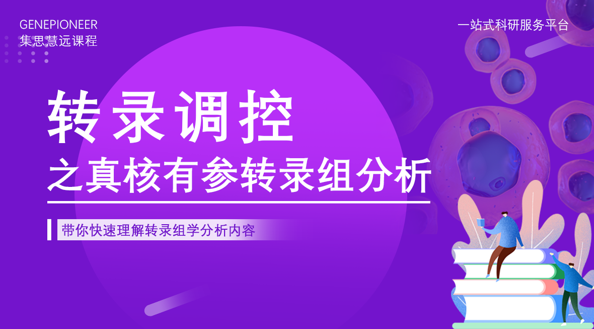 集思慧远丨转录调控之真核有参转录组分析