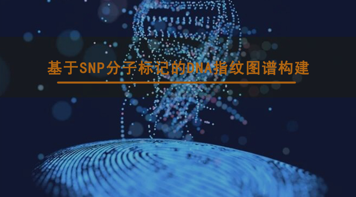 集思大讲堂第一讲——基于SNP分子标记的DNA指纹图谱构建