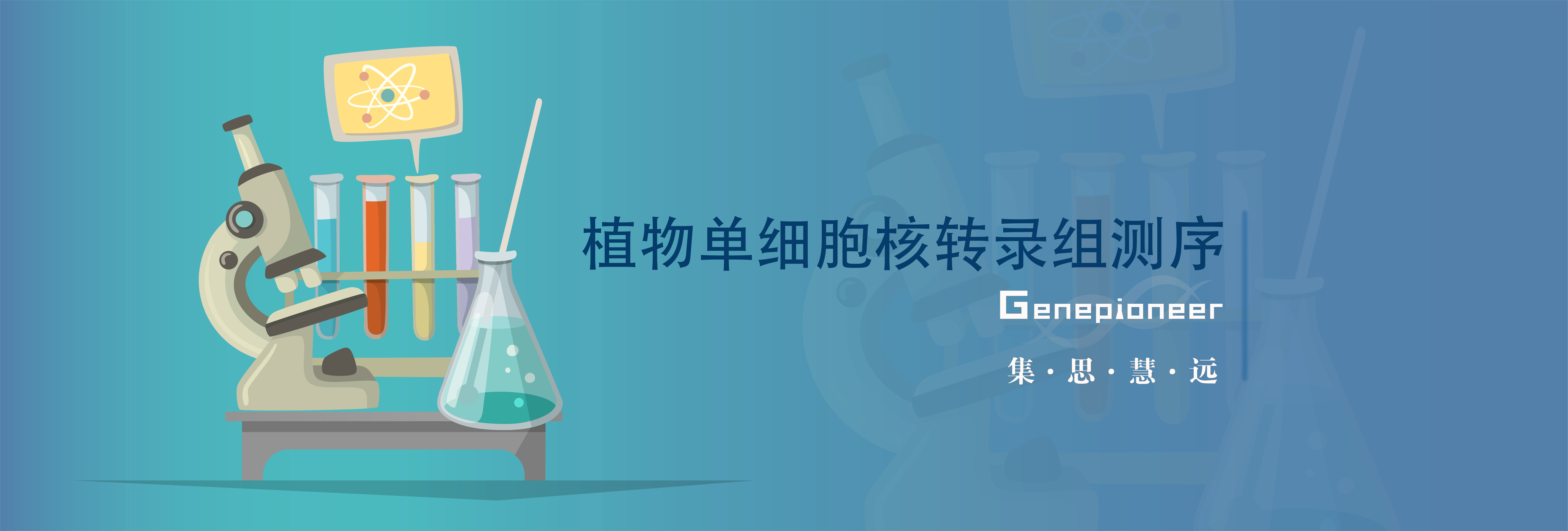 还在苦苦制备原生质体？一文带你快速解锁单细胞核测序