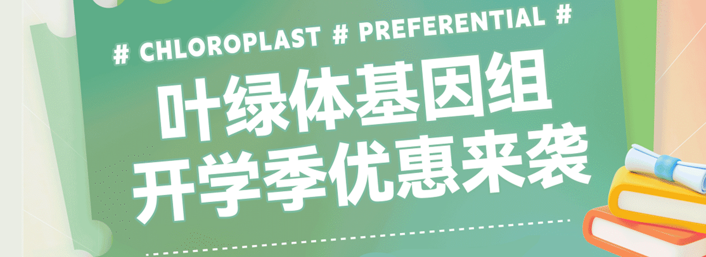 叶绿体