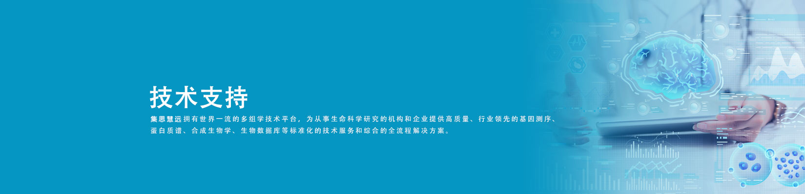 技术支持