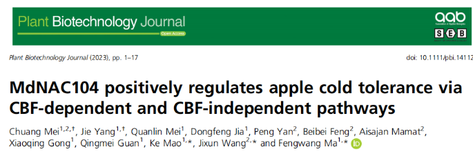 客户文章|集思慧远转录组项目助力客户文章登录PBJ顶刊(IF跃升至13.8)