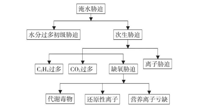 抗逆生理丨植物淹水胁迫后测定哪些生理指标？