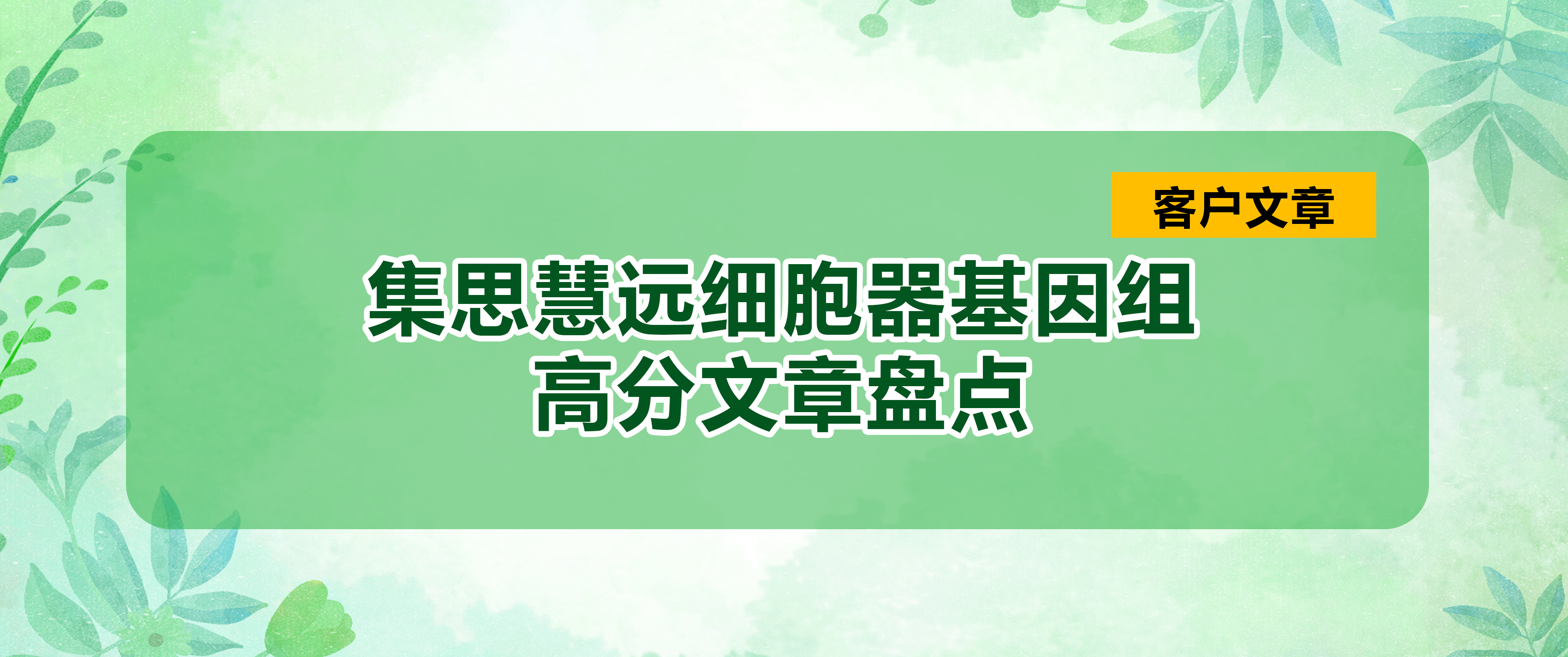 客户文章丨细胞器基因组高分文章盘点