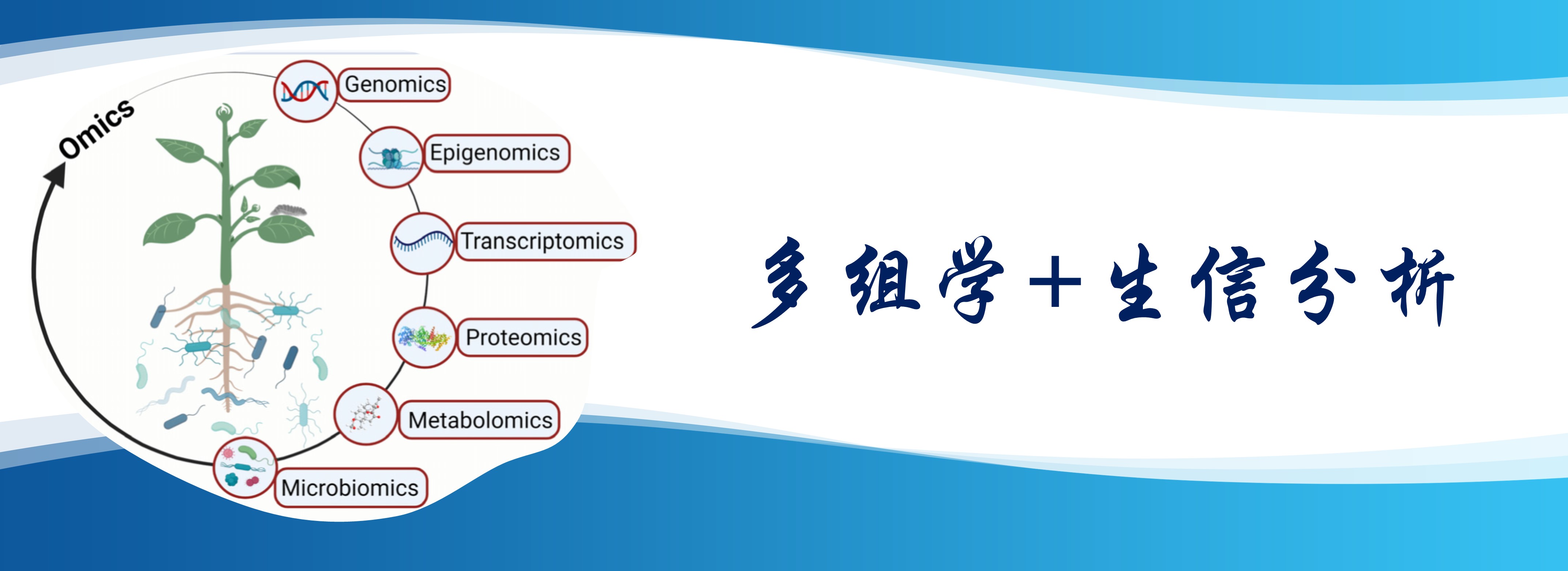 多组学
