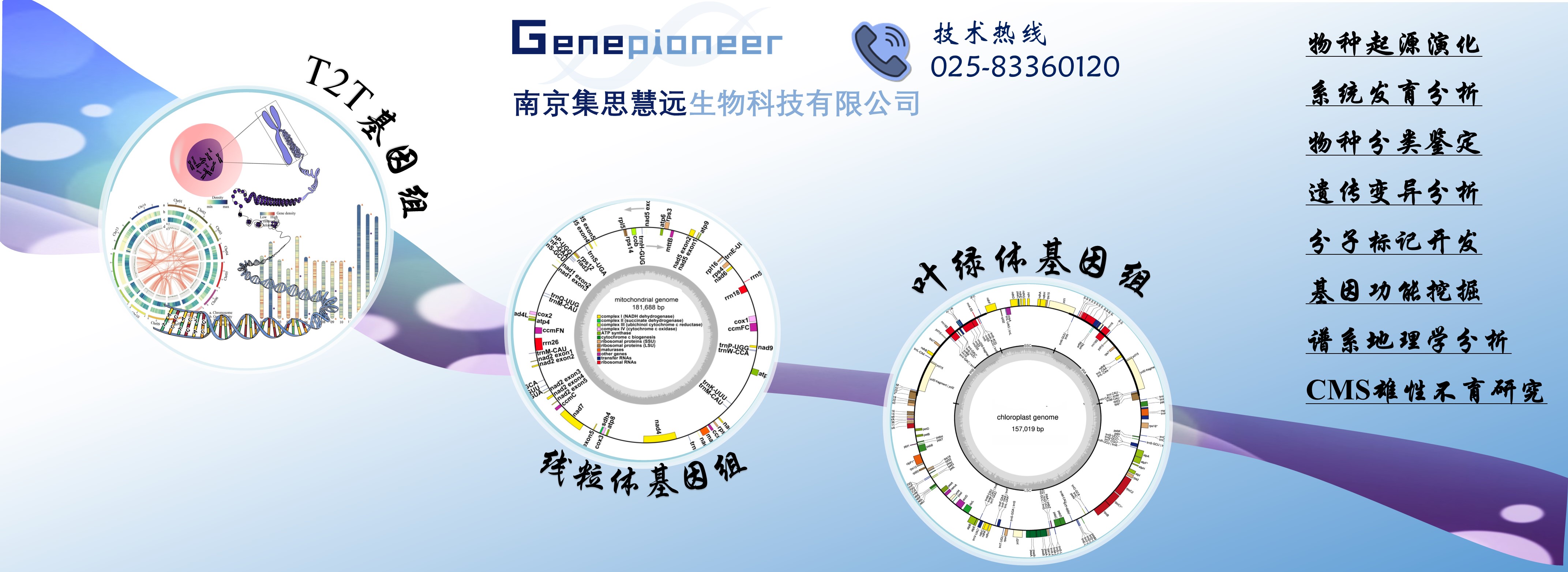 基因组学