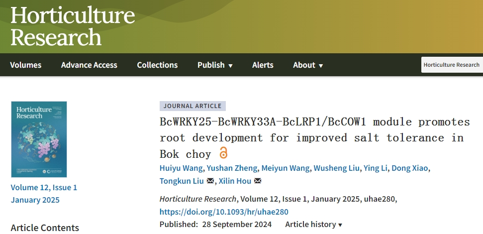 Hortic Res| 南京农业大学揭示BcWRKY33A调控白菜根系发育与耐盐性新机制