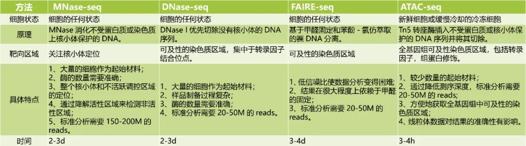 ATAC-seq