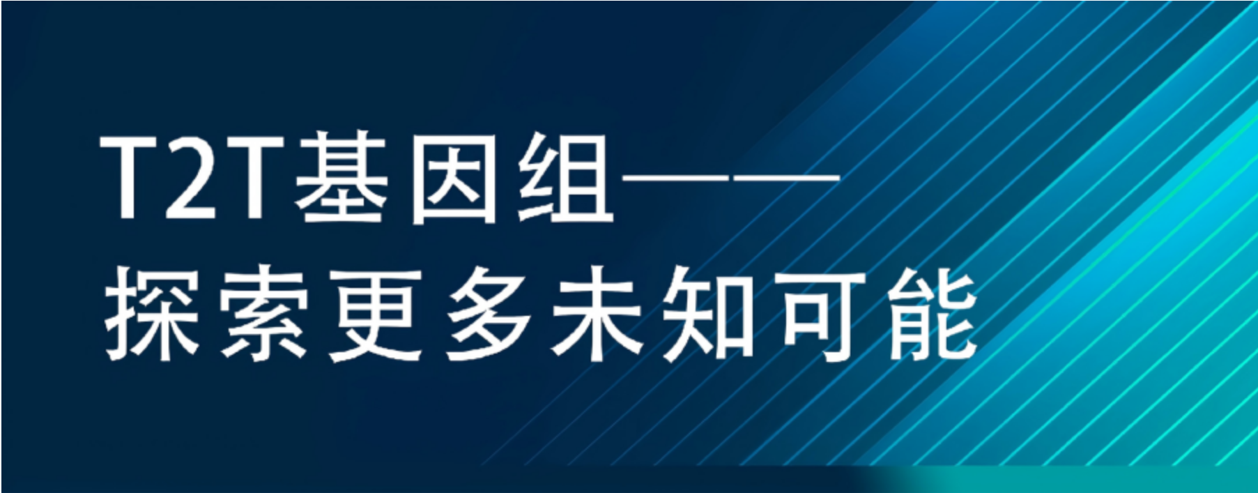 T2T基因组