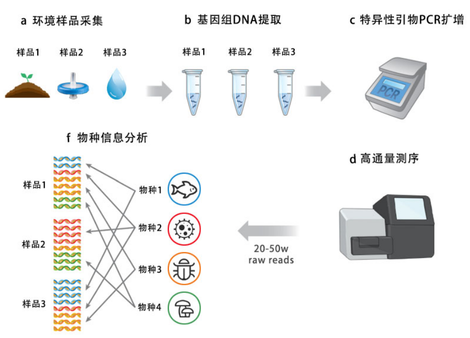 环境DNA（eDNA）测序