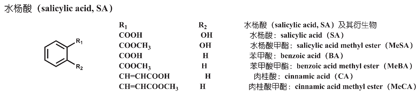 植物酶活检测