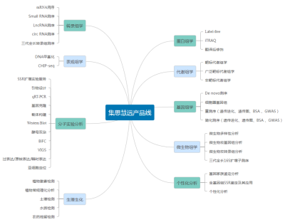 KASP基因分型检测