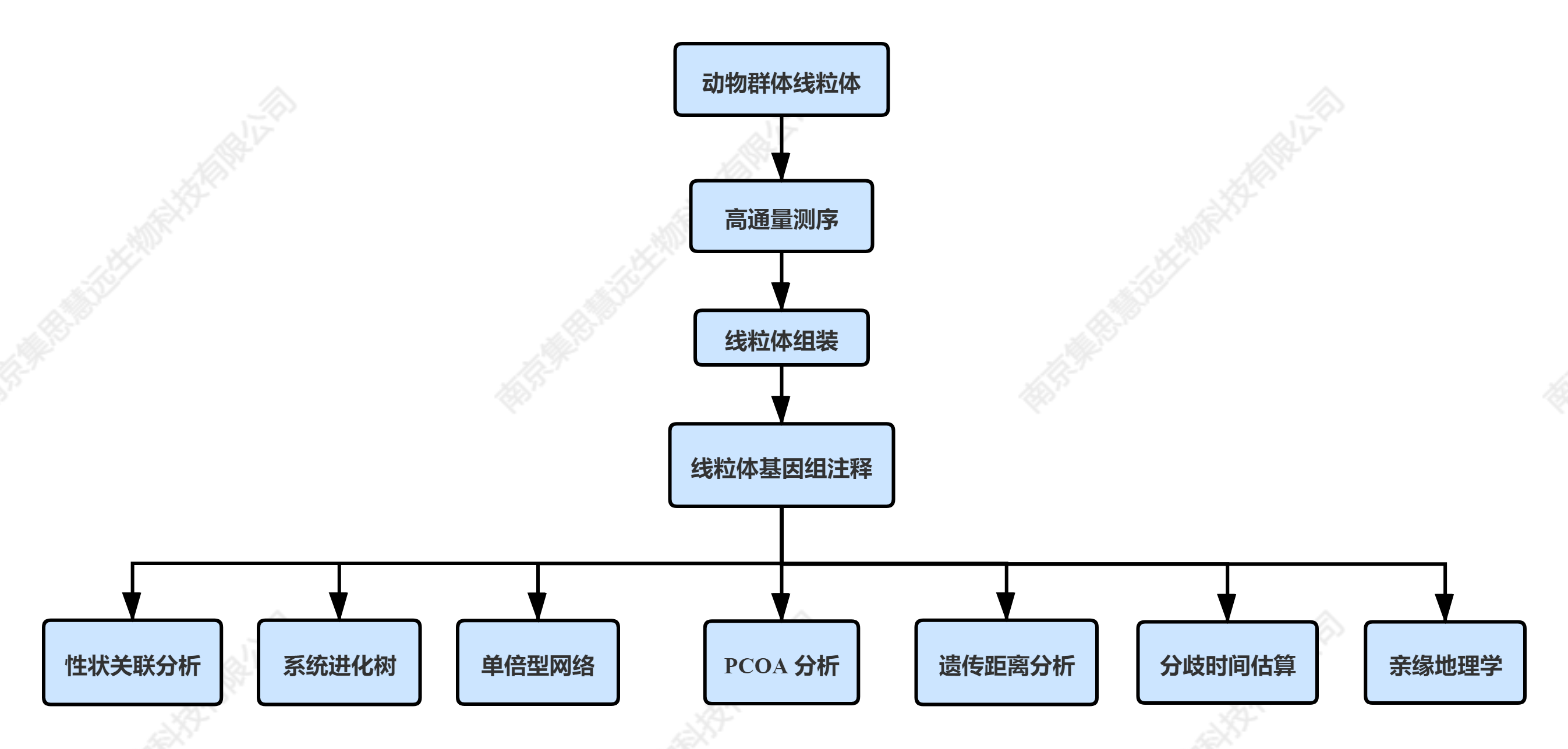 线粒体基因组